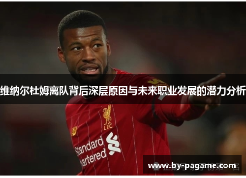 维纳尔杜姆离队背后深层原因与未来职业发展的潜力分析
