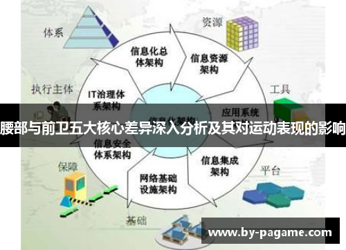 腰部与前卫五大核心差异深入分析及其对运动表现的影响