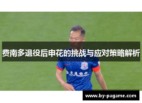 费南多退役后申花的挑战与应对策略解析