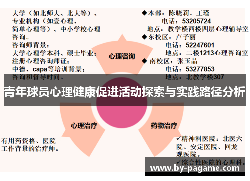 青年球员心理健康促进活动探索与实践路径分析